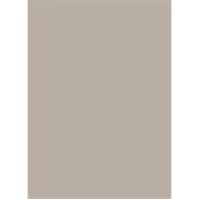 Кромка ПВХ PANELIA 0,8х22 мм G174 HG Vison / SL-04