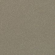 Столешница Кедр G014 Dove Galaxy ГЛЯНЕЦ 3050*600*38мм 5к