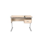 СУТ.29 Парта-трансформер (70(+40)x50x52.5) (Ясень-серый)